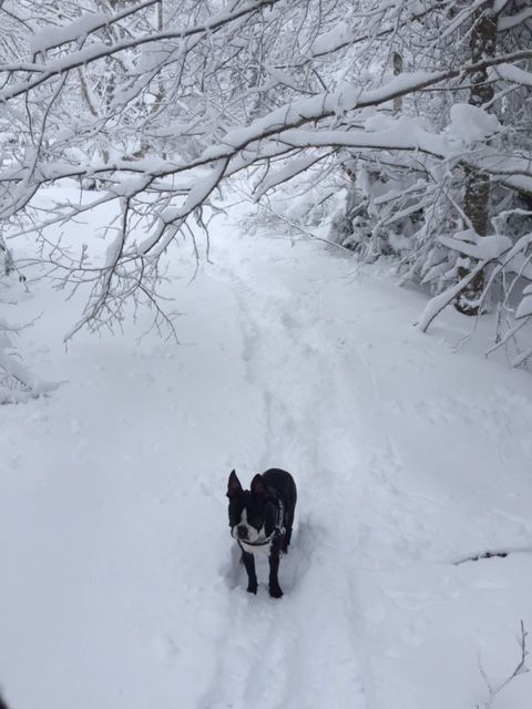 Ruby et la neige